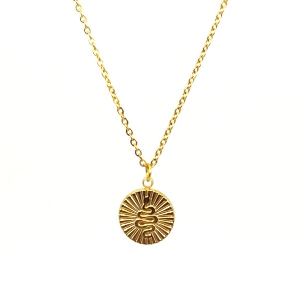Snake Gold Outlatted necklace